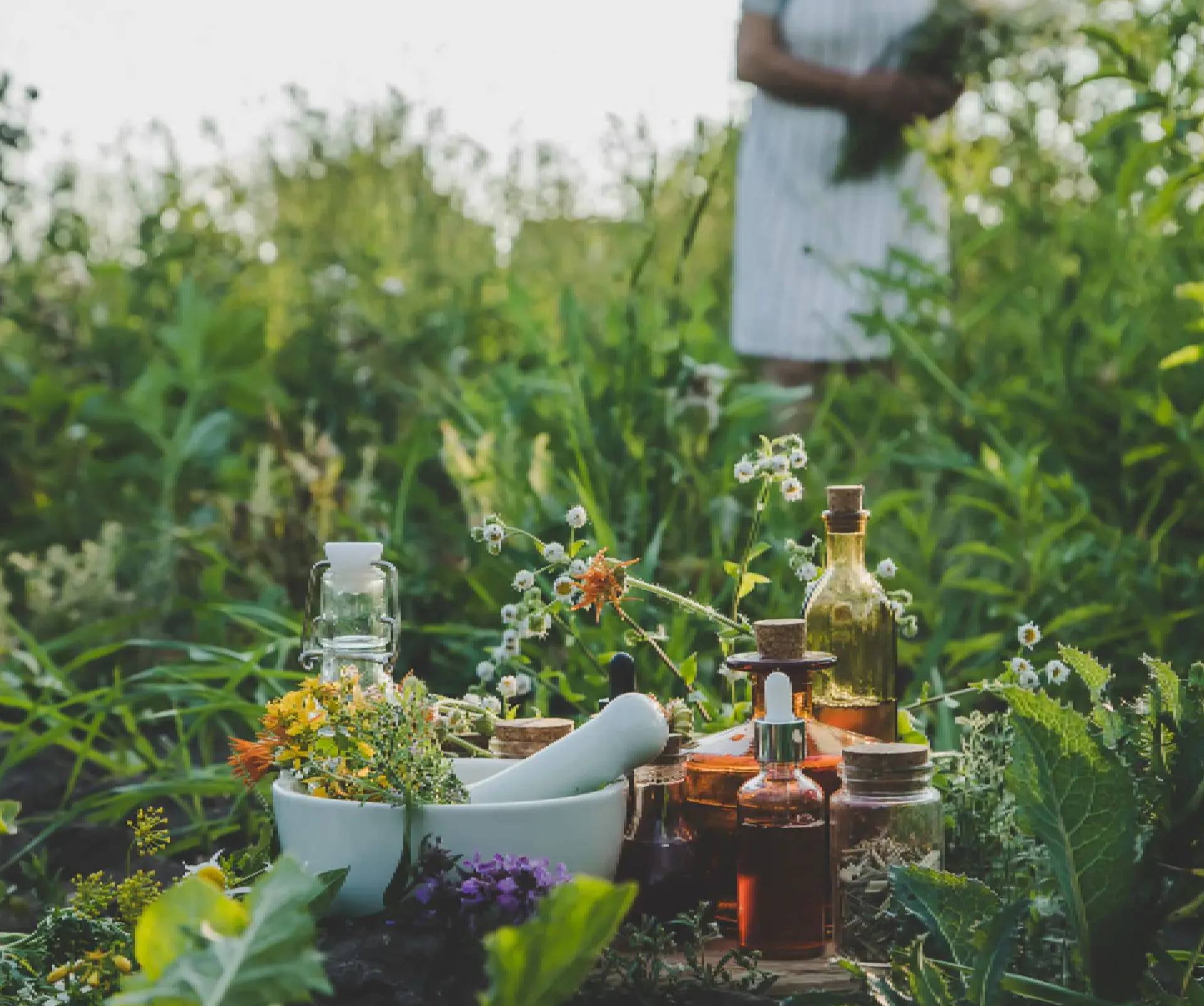 Herbal remedies and plants in a garden.